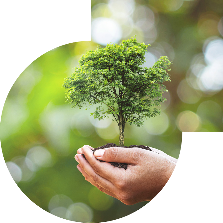 关怀人类、文化、环境与社会